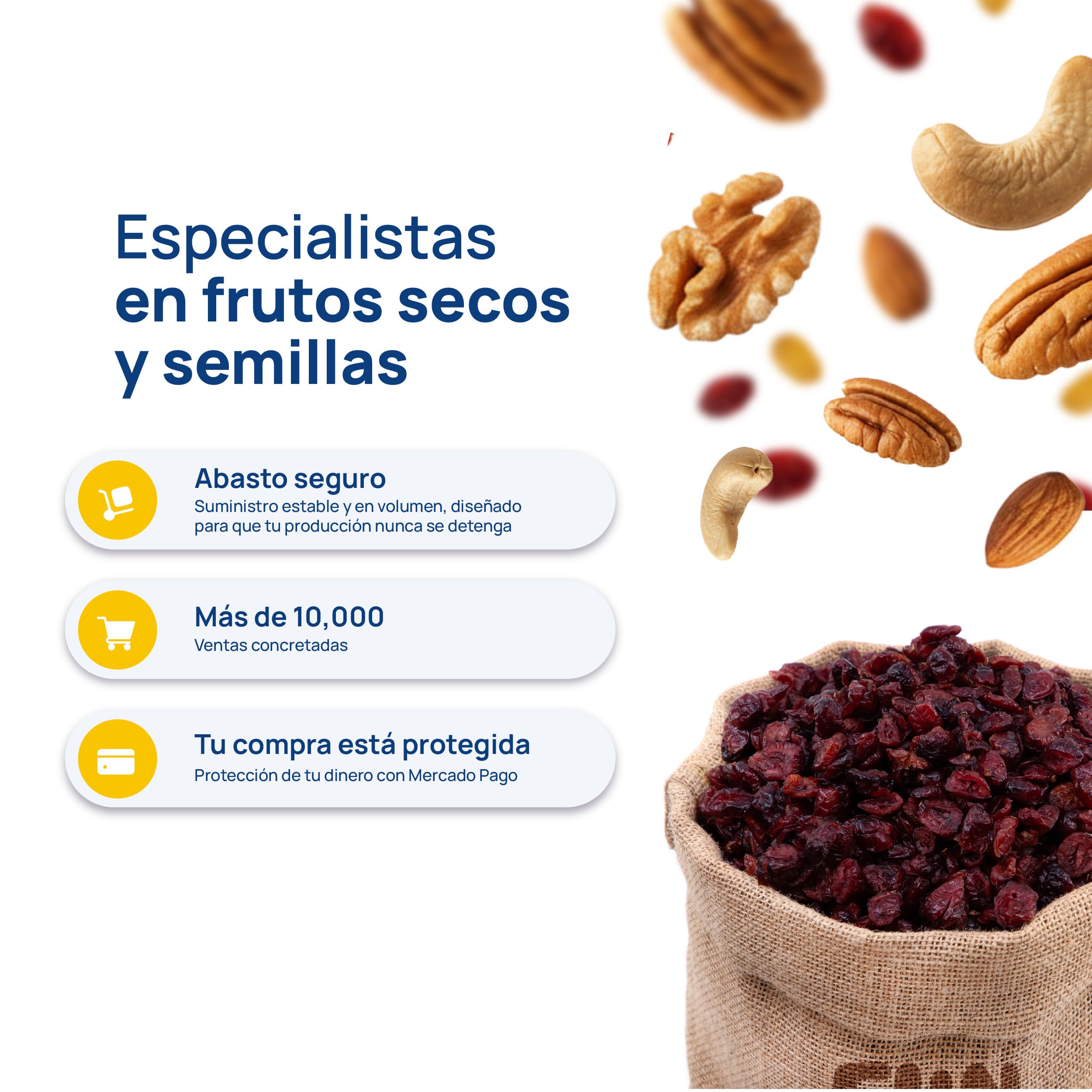 FUN FRUIT - DESCRIPCIÓN - Arándano Rebanado Deshidratado_7 - Características