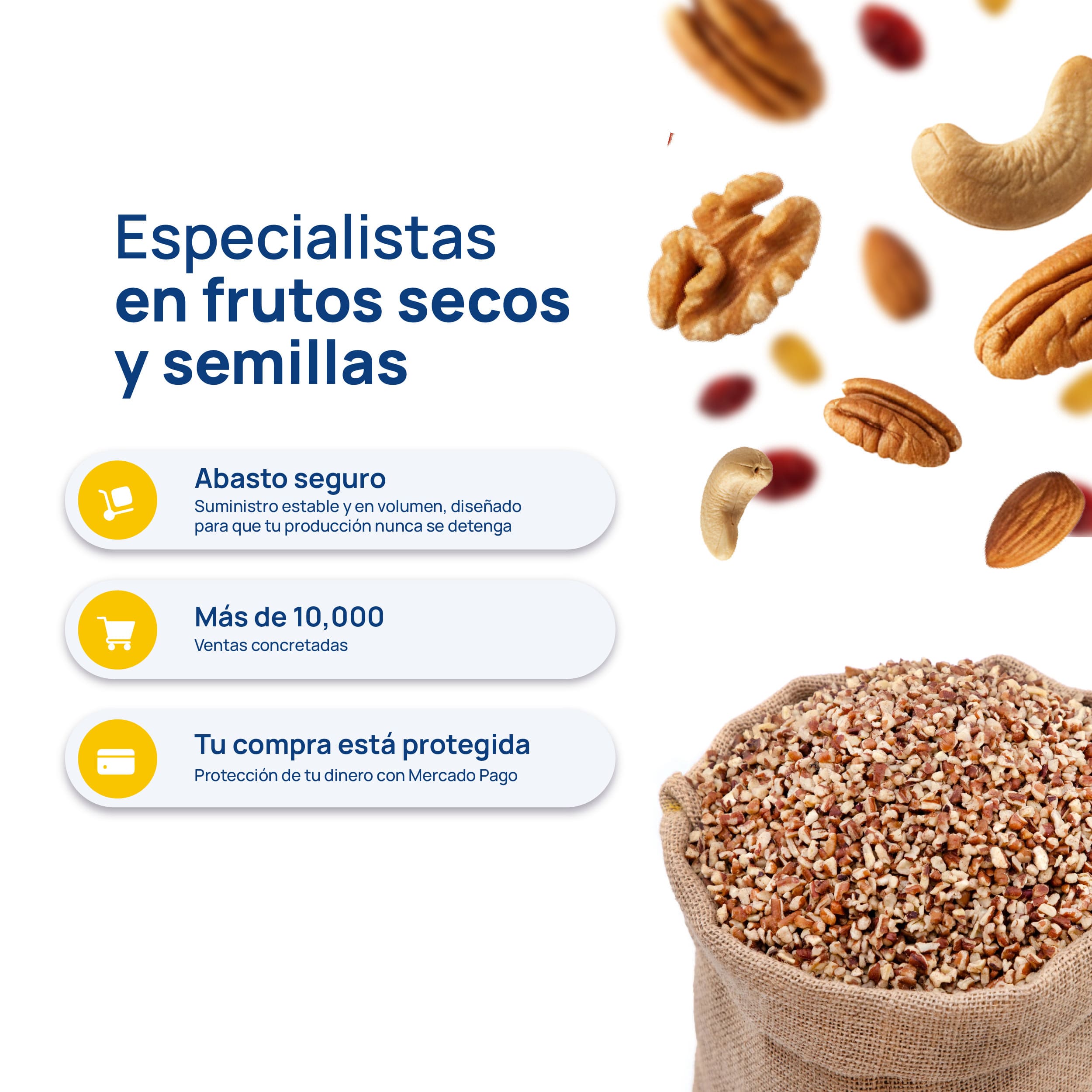 FUN FRUIT - DESCRIPCIÓN - Nuez Pecanera Granillo_7 - Características